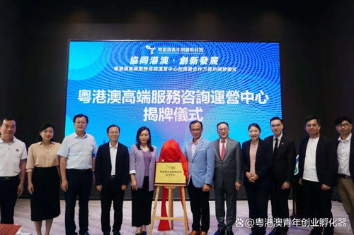 粵港澳青年創業孵化器 數智賦能企業成長，打造粵港澳雙創高質量發展孵化載體